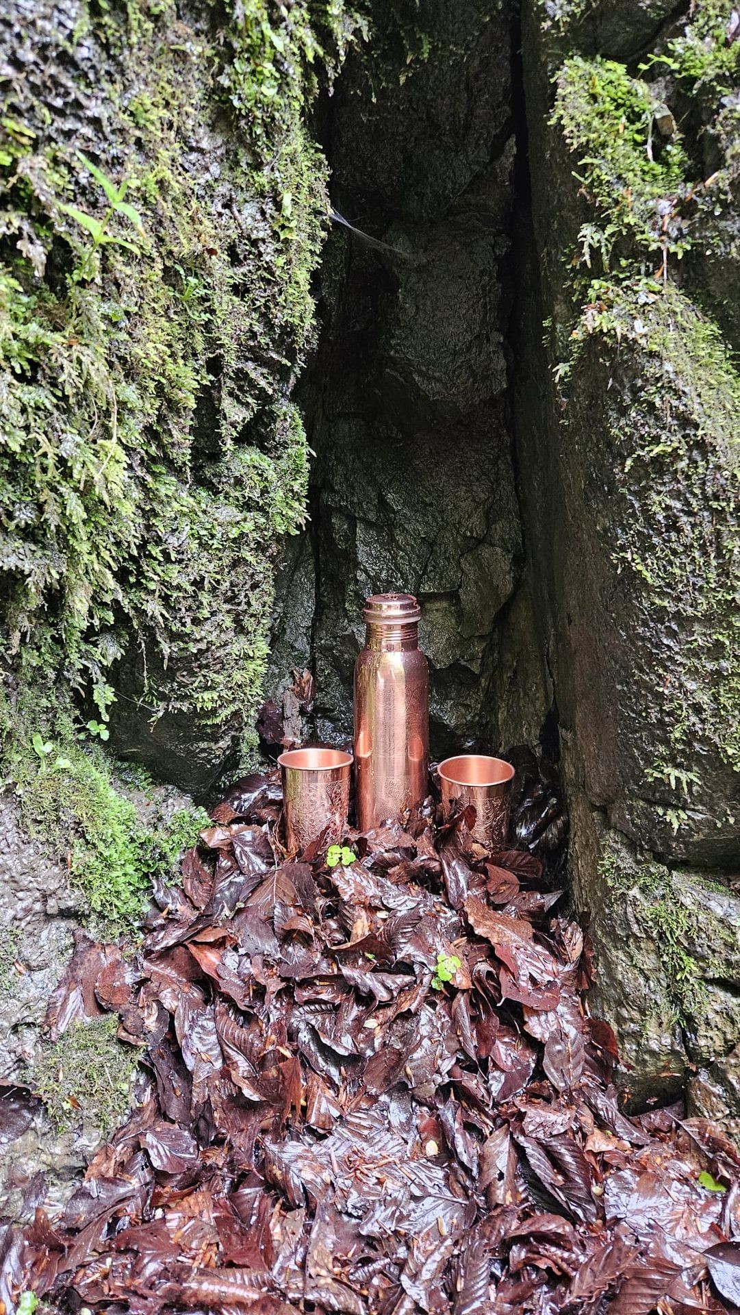 Copper water bottle and two cups placed among wet leaves and greenery in a rocky crevice.